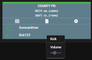 In-Game Radio - Per-User Volume